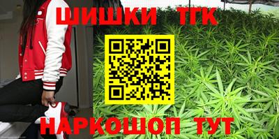 МДПВ Гусев