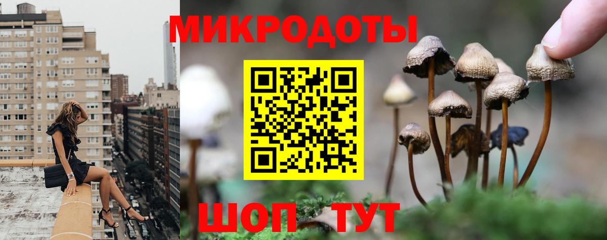 Галлюциногенные грибы Psilocybine cubensis  Вход с VPN  Новосибирск 