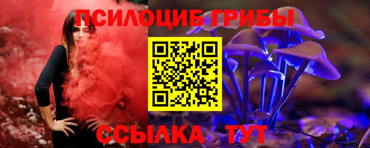 Галлюциногенные грибы Psilocybine cubensis Новосибирск